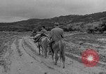 Image of Battle of Okinawa Okinawa Ryukyu Islands, 1945, second 57 stock footage video 65675051672