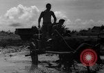 Immagine di Soldati statunitensi Saipan Isole Marianne Settentrionali, 1944, secondo 62 filmato di repertorio 65675051681