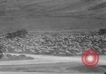 Standbild United States Army Engineers Saipan Marianen, 1944, aus Sekunde 17 historischem Filmmaterial Videoclip 65675051683