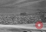 Standbild United States Army Engineers Saipan Marianen, 1944, aus Sekunde 19 historischem Filmmaterial Videoclip 65675051683