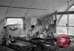 Immagine di La guerra dei corrispondenti quarti Saipan Isole Marianne, 1945, secondo 27 filmato di repertorio 65675051694