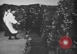 Standbild Japaner Japan, 1943, aus Sekunde 59 historischem Filmmaterial Videoclip 65675051696