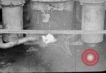 Image of Japanese people Japan, 1943, second 25 stock footage video 65675051697