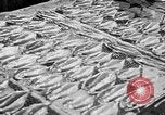 Image of Japanese people Japan, 1943, second 7 stock footage video 65675051699