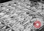 Image of Japanese people Japan, 1943, second 8 stock footage video 65675051699