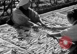 Image of Japanese people Japan, 1943, second 10 stock footage video 65675051699