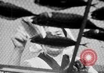 Image of Japanese people Japan, 1943, second 23 stock footage video 65675051699