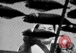 Image of Japanese people Japan, 1943, second 24 stock footage video 65675051699