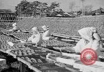 Image of Japanese people Japan, 1943, second 25 stock footage video 65675051699