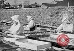 Image of Japanese people Japan, 1943, second 27 stock footage video 65675051699