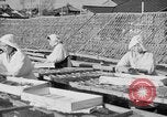 Image of Japanese people Japan, 1943, second 28 stock footage video 65675051699