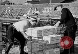 Image of Japanese people Japan, 1943, second 33 stock footage video 65675051699