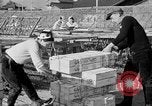 Image of Japanese people Japan, 1943, second 34 stock footage video 65675051699