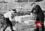 Image of Japanese people Japan, 1943, second 35 stock footage video 65675051699