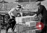 Image of Japanese people Japan, 1943, second 36 stock footage video 65675051699