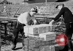 Image of Japanese people Japan, 1943, second 37 stock footage video 65675051699