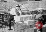 Image of Japanese people Japan, 1943, second 38 stock footage video 65675051699