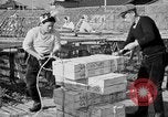 Image of Japanese people Japan, 1943, second 39 stock footage video 65675051699