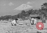 Image of Japanese people Japan, 1943, second 42 stock footage video 65675051699