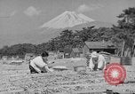 Image of Japanese people Japan, 1943, second 43 stock footage video 65675051699