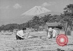 Image of Japanese people Japan, 1943, second 45 stock footage video 65675051699
