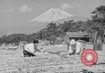 Image of Japanese people Japan, 1943, second 46 stock footage video 65675051699