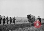 Image of Japanese people Japan, 1943, second 50 stock footage video 65675051699
