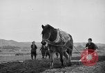 Image of Japanese people Japan, 1943, second 53 stock footage video 65675051699