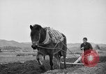 Image of Japanese people Japan, 1943, second 54 stock footage video 65675051699