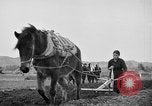 Image of Japanese people Japan, 1943, second 55 stock footage video 65675051699