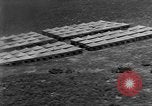 Standbild Testen Wirksamkeit der Brandsätze Bombardierung Florida United States USA, 1945, aus Sekunde 22 historischem Filmmaterial Videoclip 65675051709