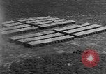 Standbild Testen Wirksamkeit der Brandsätze Bombardierung Florida United States USA, 1945, aus Sekunde 24 historischem Filmmaterial Videoclip 65675051709