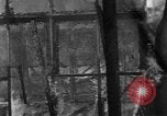 Standbild Testen Wirksamkeit der Brandsätze Bombardierung Florida United States USA, 1945, aus Sekunde 38 historischem Filmmaterial Videoclip 65675051709
