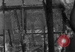 Standbild Testen Wirksamkeit der Brandsätze Bombardierung Florida United States USA, 1945, aus Sekunde 39 historischem Filmmaterial Videoclip 65675051709