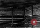 Standbild Vergleich der konventionellen Bomben mit incendiaries Florida United States USA, 1945, aus Sekunde 51 historischem Filmmaterial Videoclip 65675051710
