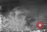 Standbild Vergleich der konventionellen Bomben mit incendiaries Florida United States USA, 1945, aus Sekunde 54 historischem Filmmaterial Videoclip 65675051710