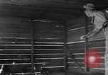 Standbild Vergleich der konventionellen Bomben mit incendiaries Florida United States USA, 1945, aus Sekunde 61 historischem Filmmaterial Videoclip 65675051710