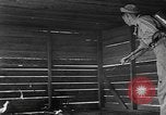 Standbild Vergleich der konventionellen Bomben mit incendiaries Florida United States USA, 1945, aus Sekunde 62 historischem Filmmaterial Videoclip 65675051710