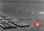 Standbild Tests von Brandbomben gegen hölzerne Strukturen Florida United States USA, 1945, aus Sekunde 8 historischem Filmmaterial Videoclip 65675051711