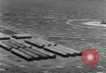 Standbild Tests von Brandbomben gegen hölzerne Strukturen Florida United States USA, 1945, aus Sekunde 9 historischem Filmmaterial Videoclip 65675051711