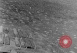 Standbild Tests von Brandbomben gegen hölzerne Strukturen Florida United States USA, 1945, aus Sekunde 35 historischem Filmmaterial Videoclip 65675051711