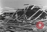 Standbild Tests von Brandbomben gegen hölzerne Strukturen Florida United States USA, 1945, aus Sekunde 43 historischem Filmmaterial Videoclip 65675051711