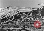 Standbild Tests von Brandbomben gegen hölzerne Strukturen Florida United States USA, 1945, aus Sekunde 46 historischem Filmmaterial Videoclip 65675051711