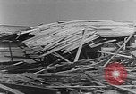 Standbild Tests von Brandbomben gegen hölzerne Strukturen Florida United States USA, 1945, aus Sekunde 48 historischem Filmmaterial Videoclip 65675051711