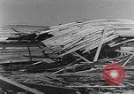 Standbild Tests von Brandbomben gegen hölzerne Strukturen Florida United States USA, 1945, aus Sekunde 49 historischem Filmmaterial Videoclip 65675051711