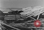 Standbild Tests von Brandbomben gegen hölzerne Strukturen Florida United States USA, 1945, aus Sekunde 50 historischem Filmmaterial Videoclip 65675051711