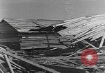 Standbild Tests von Brandbomben gegen hölzerne Strukturen Florida United States USA, 1945, aus Sekunde 51 historischem Filmmaterial Videoclip 65675051711