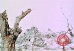 Standbild Schlacht von Okinawa Okinawa Ryukyu Inseln, 1945, aus Sekunde 9 historischem Filmmaterial Videoclip 65675051716