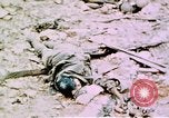 Standbild Schlacht von Okinawa Okinawa Ryukyu Inseln, 1945, aus Sekunde 56 historischem Filmmaterial Videoclip 65675051716
