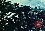 Standbild Schlacht von Okinawa Okinawa Ryukyu Inseln, 1945, aus Sekunde 46 historischem Filmmaterial Videoclip 65675051718